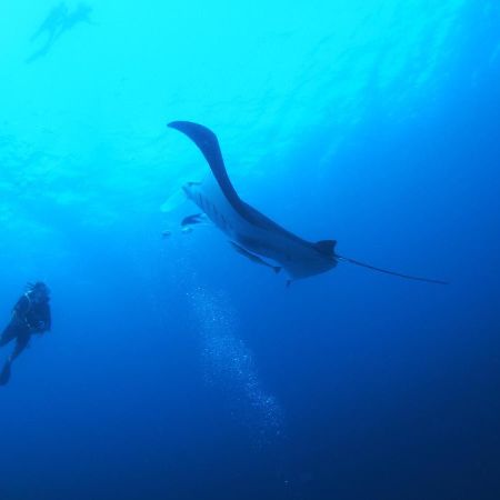 Unwind Dhigurah Otel Dhigurah  Dış mekan fotoğraf