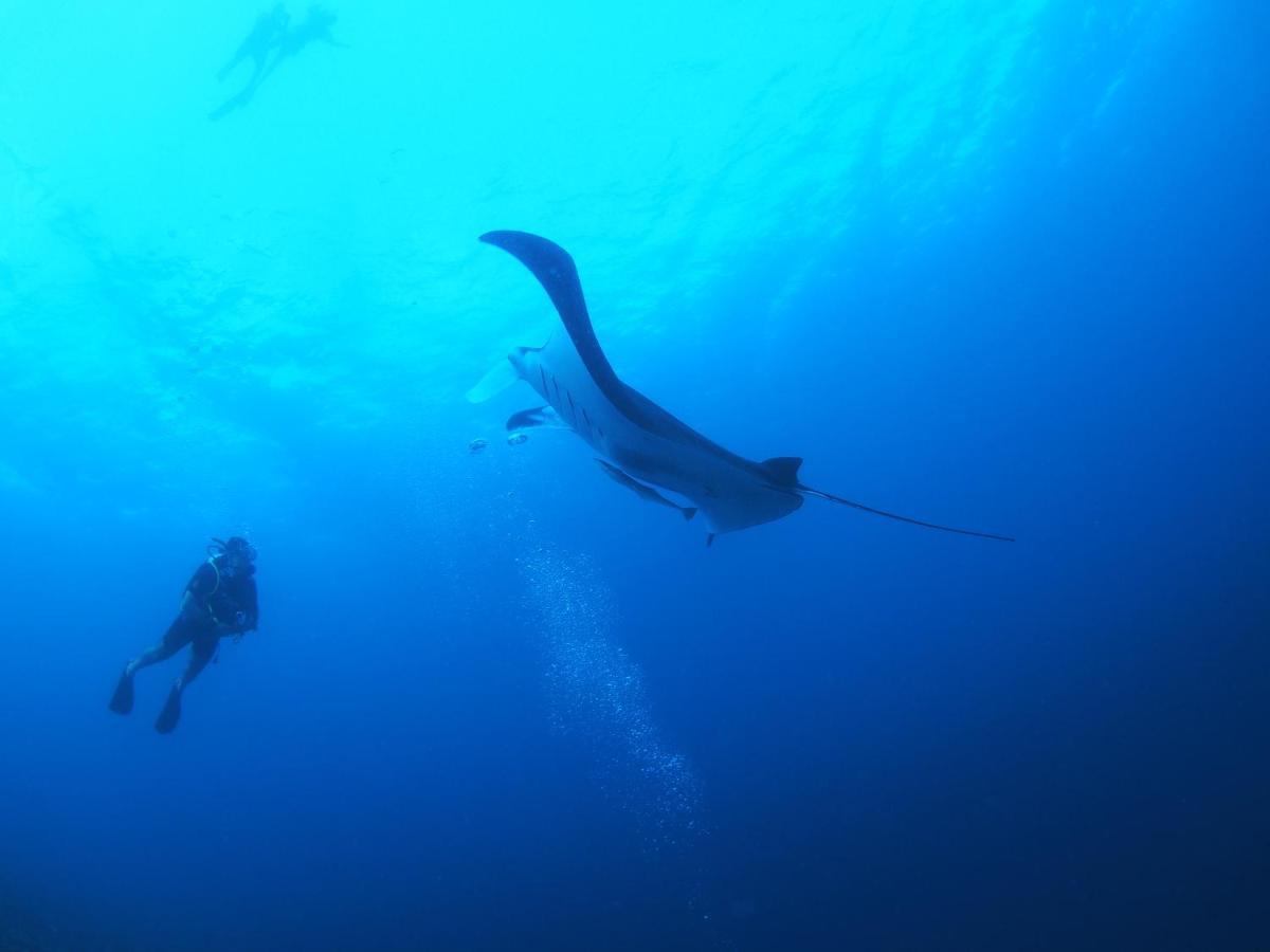 Unwind Dhigurah Otel Dhigurah  Dış mekan fotoğraf