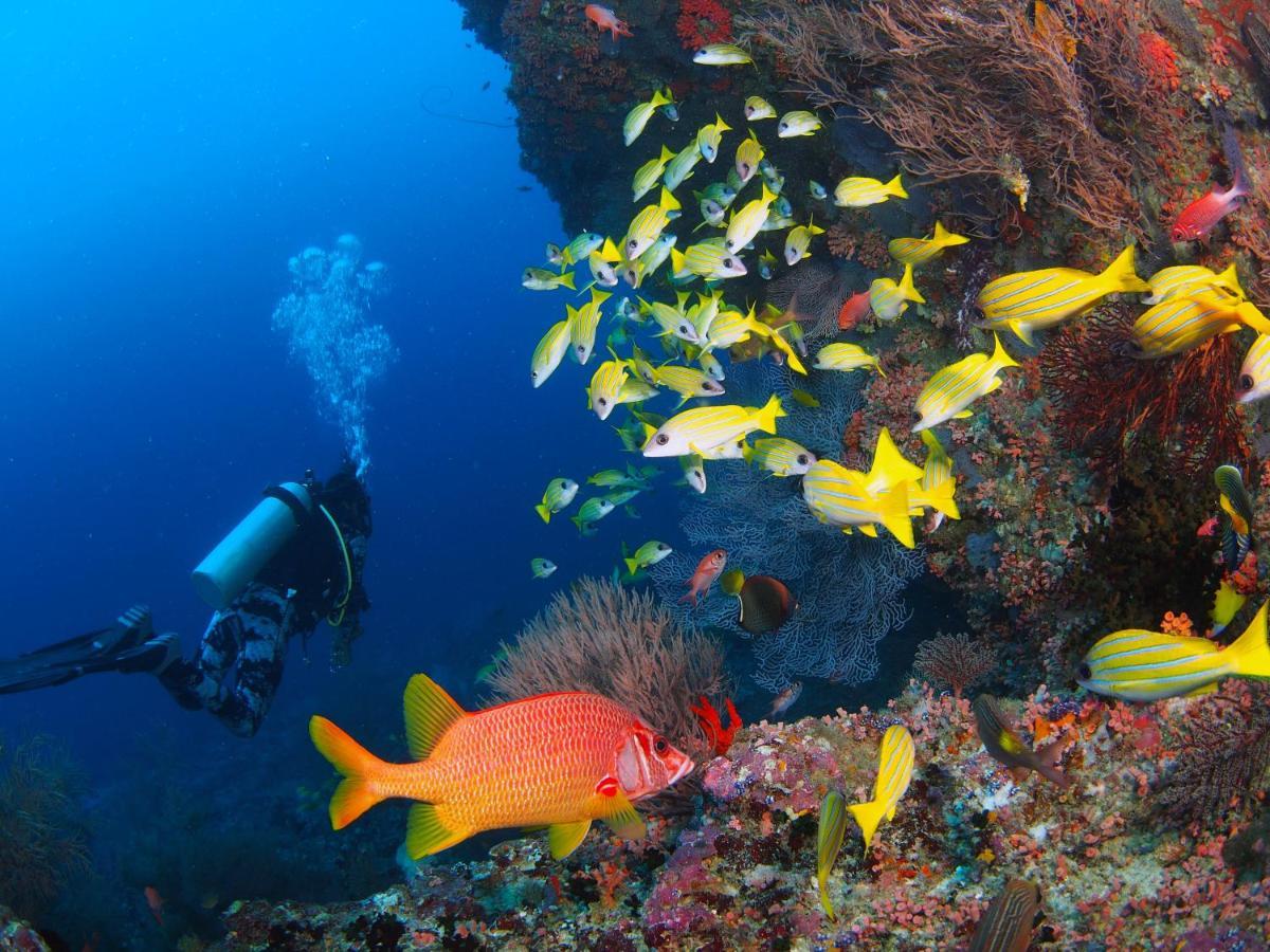 Unwind Dhigurah Otel Dhigurah  Dış mekan fotoğraf